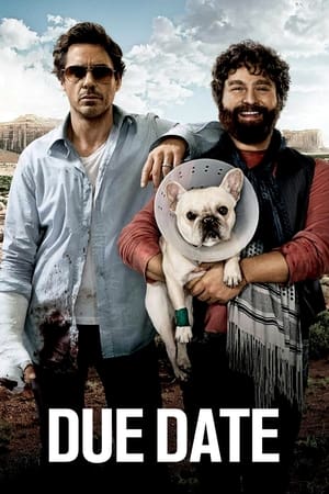 Due Date (2010) Dual Audio | Hindi Full Movie BluRay 300MB
